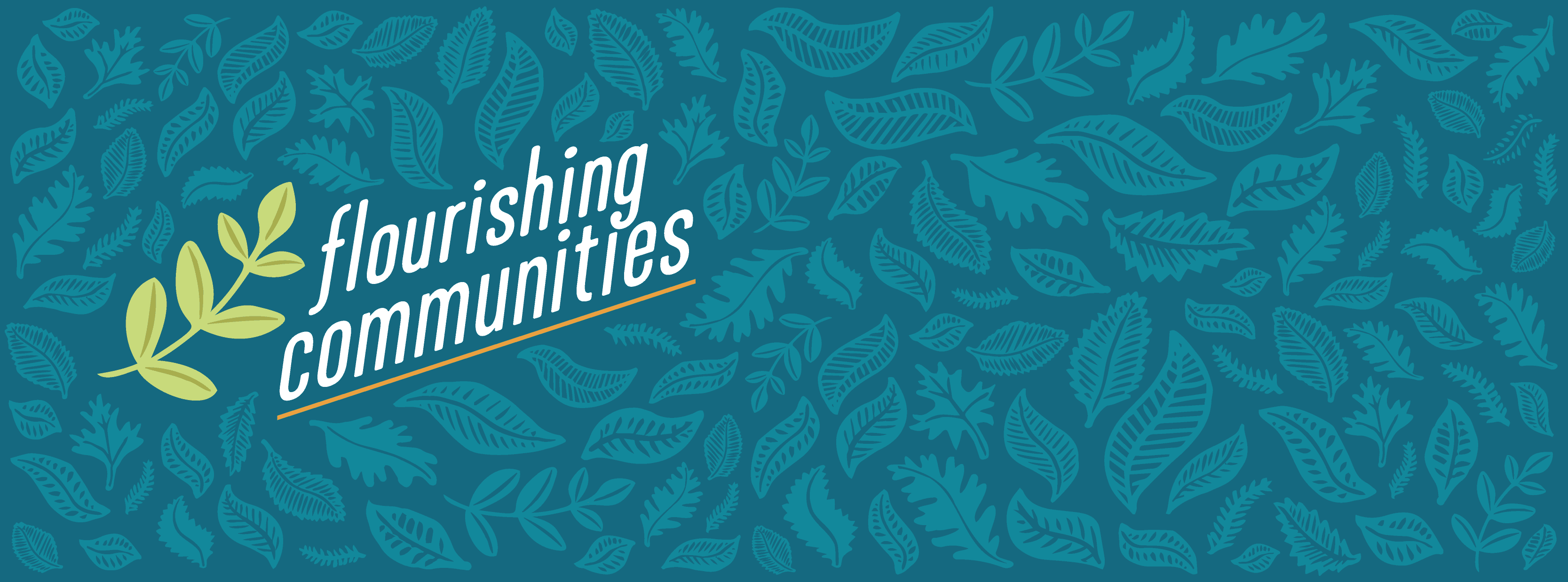 Flourishing Communities Large Group Series